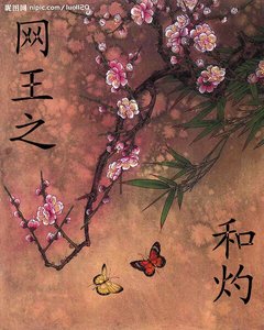 (網王同人)網王之和灼