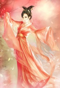 女卦师的桃花运