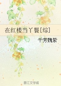 （BG/紅樓同人）在紅樓當丫鬟[綜]